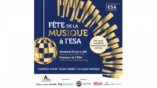 Concert, Fête de la musique